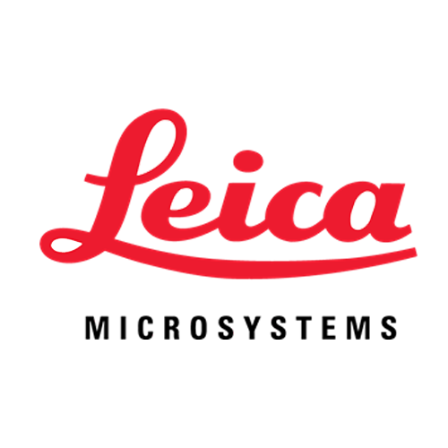 55.png